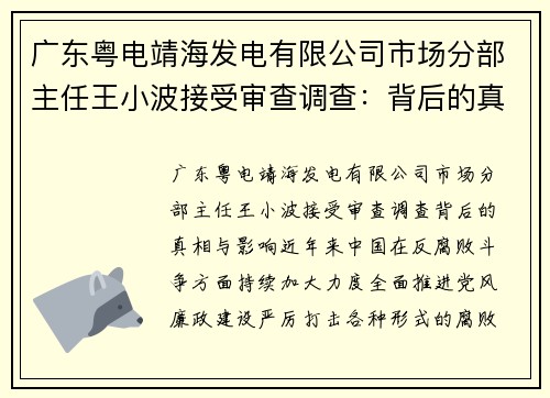 广东粤电靖海发电有限公司市场分部主任王小波接受审查调查：背后的真相与影响