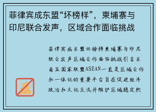 菲律宾成东盟“坏榜样”，柬埔寨与印尼联合发声，区域合作面临挑战