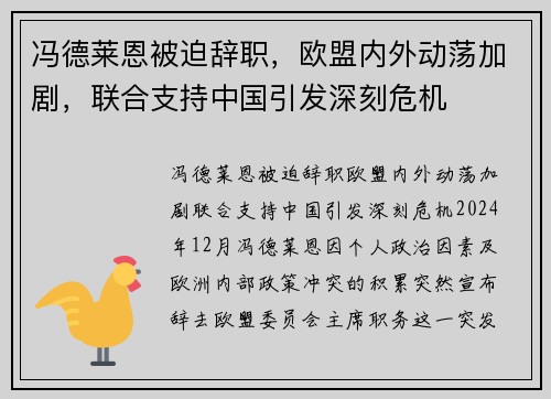 冯德莱恩被迫辞职，欧盟内外动荡加剧，联合支持中国引发深刻危机
